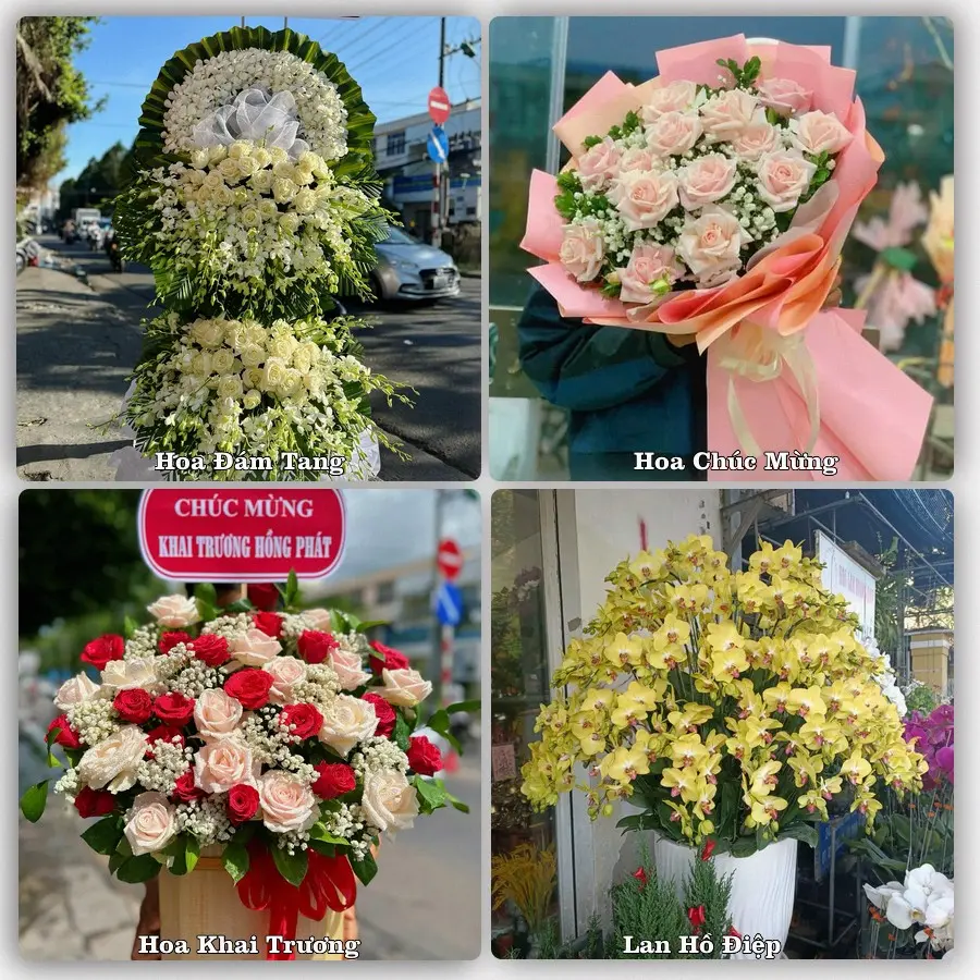 Mẫu hoa phục vụ nhu cầu đặt hoa tại Xã Bình Sơn - Tỉnh Quảng Ngãi