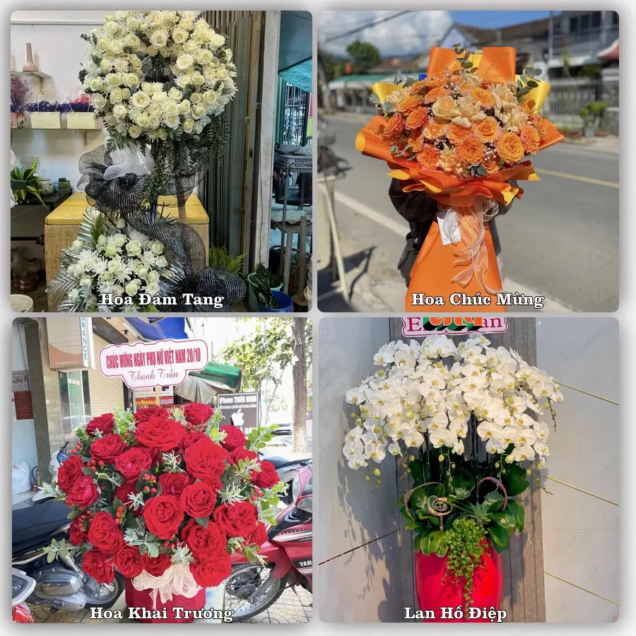 Tư vấn chọn hoa theo người nhận và dịp tặng tại Xã Bình Sơn - Tỉnh Quảng Ngãi