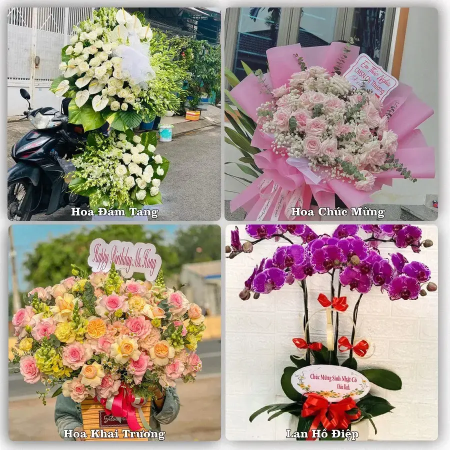 Dịch vụ đặt hoa và giao tận nơi tại Xã Đại Sơn - Thành phố Hải Phòng
