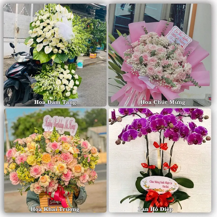 Dịch vụ đặt hoa và giao tận nơi tại Xã Đại Sơn - Thành phố Hải Phòng