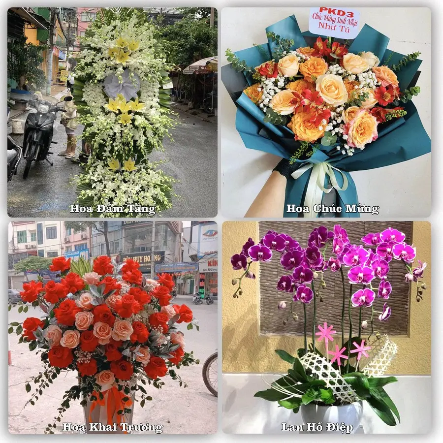 Tư vấn chọn hoa theo người nhận và dịp tặng tại Xã Đại Sơn - Thành phố Hải Phòng