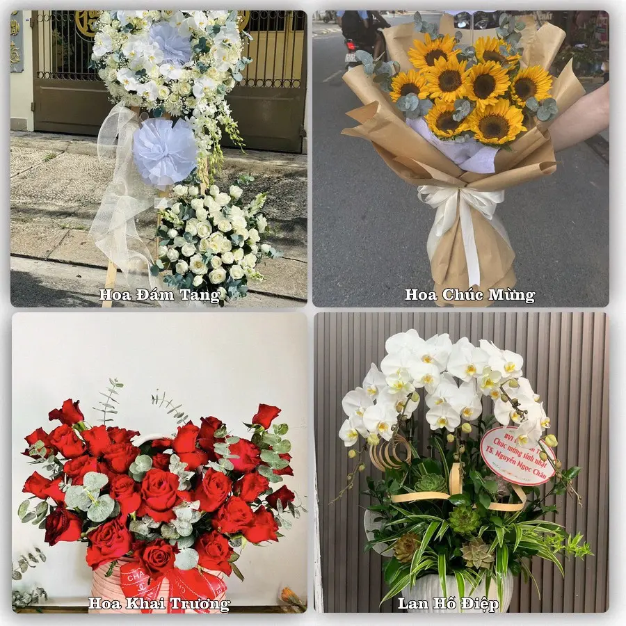 Mẫu hoa phục vụ nhu cầu đặt hoa tại Xã Đông Thành - Tỉnh Nghệ An