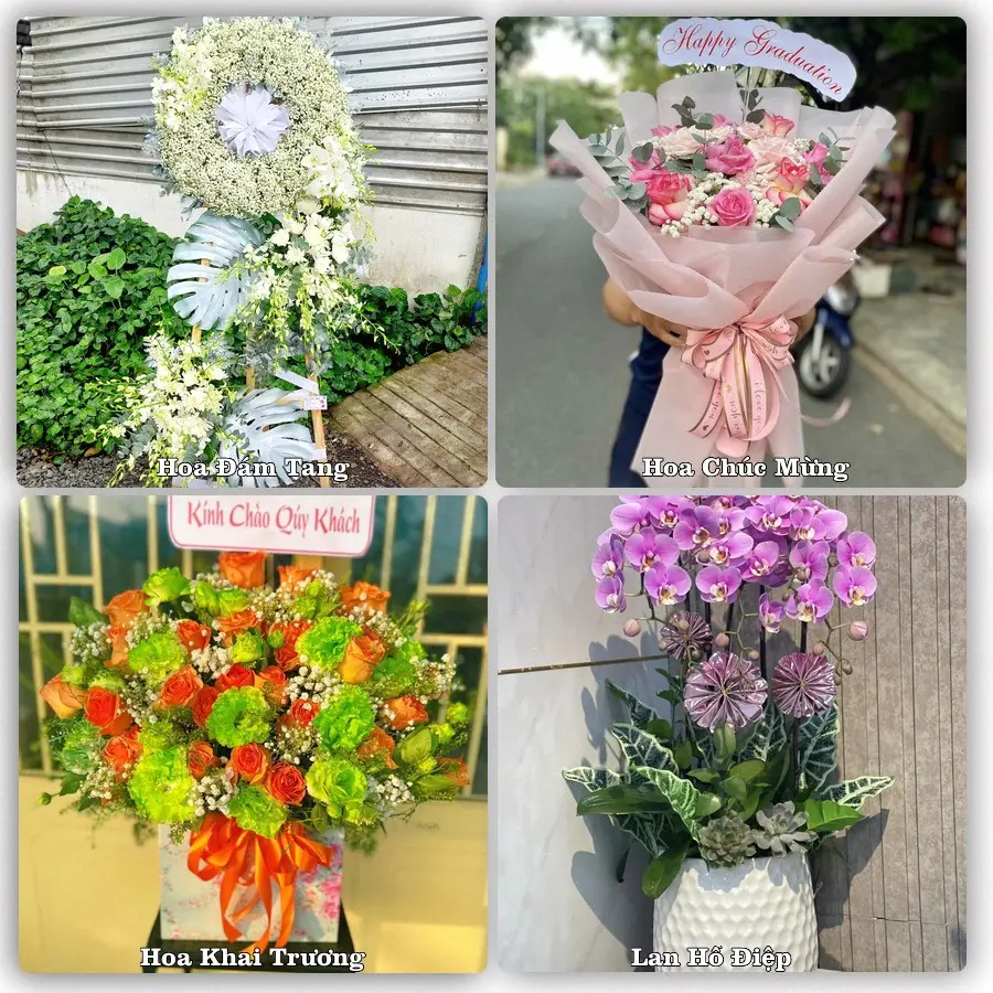 Tư vấn chọn hoa theo người nhận và dịp tặng tại Xã Đông Thành - Tỉnh Nghệ An
