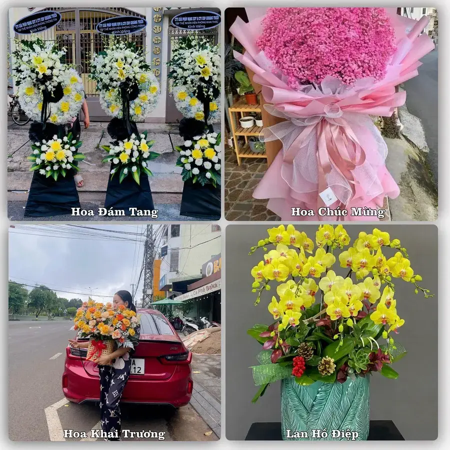 Shop hoa tươi Xã Dương Hòa, Hà Nội – đặt hoa theo dịp, giao tận nơi