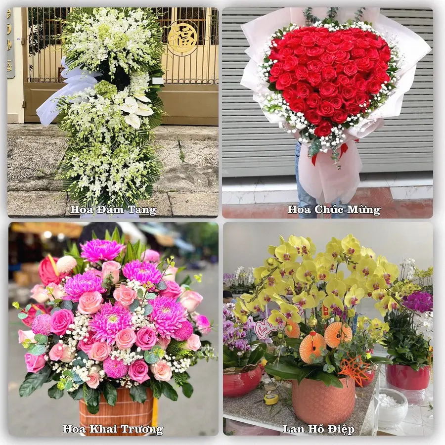Tư vấn chọn hoa theo người nhận và dịp tặng tại Xã Dương Hòa - Thành phố Hà Nội