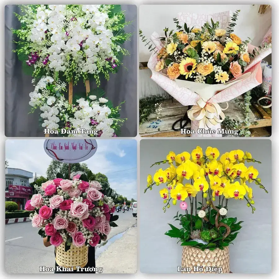 Dịch vụ đặt hoa và giao tận nơi tại Phường Dương Nỗ - Thành phố Huế