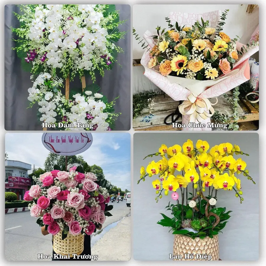 Dịch vụ đặt hoa và giao tận nơi tại Phường Dương Nỗ - Thành phố Huế
