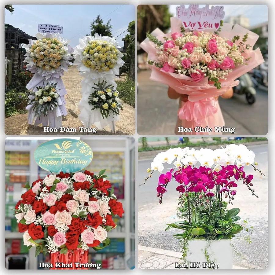 Tư vấn chọn hoa theo người nhận và dịp tặng tại Phường Dương Nỗ - Thành phố Huế