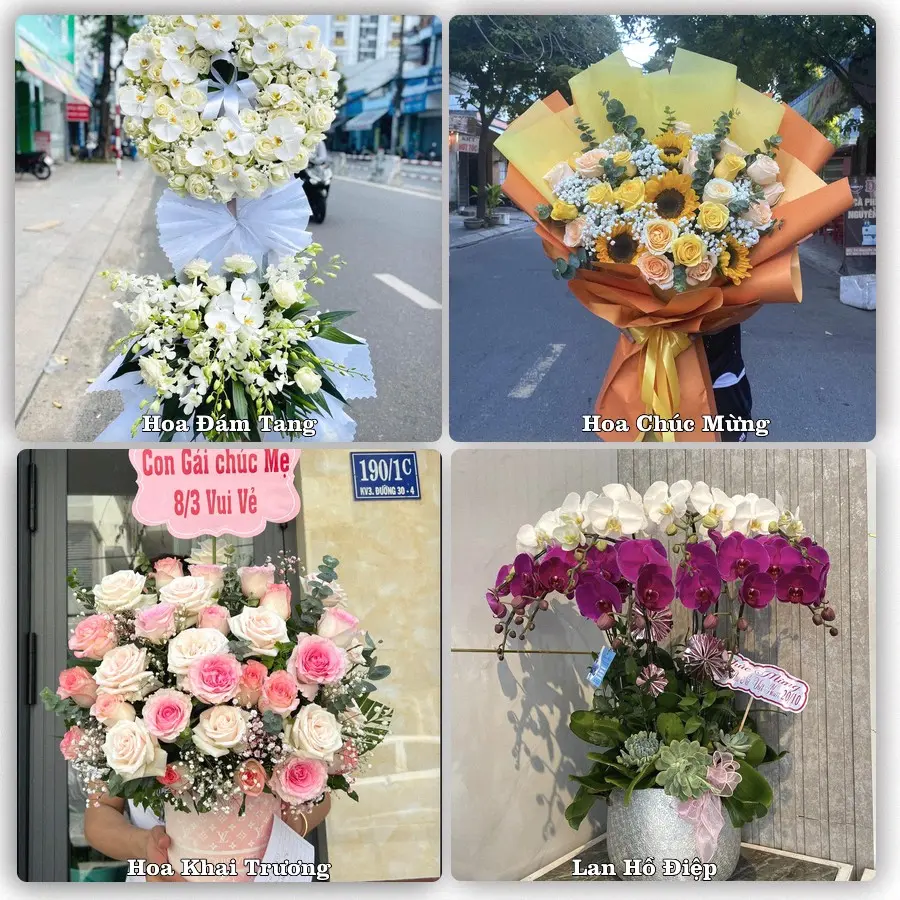 Mẫu hoa phục vụ nhu cầu đặt hoa tại Phường Kinh Môn - Thành phố Hải Phòng