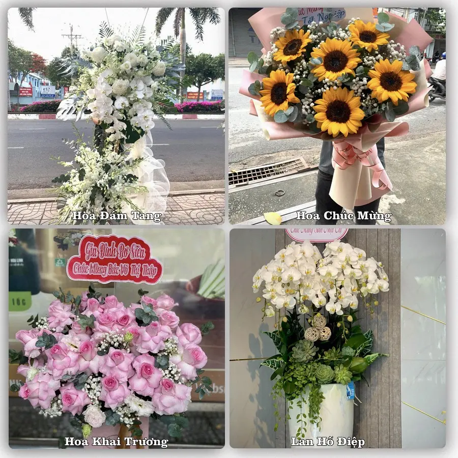 Tư vấn chọn hoa theo người nhận và dịp tặng tại Phường Kinh Môn - Thành phố Hải Phòng