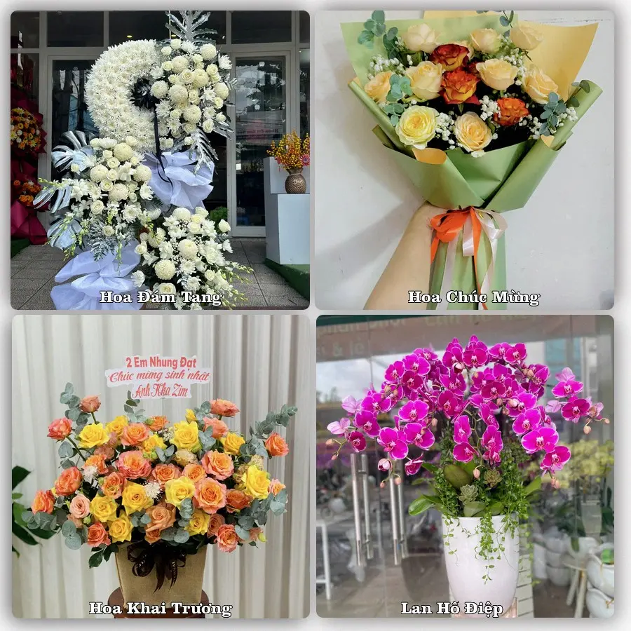 Tư vấn chọn hoa theo người nhận và dịp tặng tại Phường Móng Cái 1 - Tỉnh Quảng Ninh