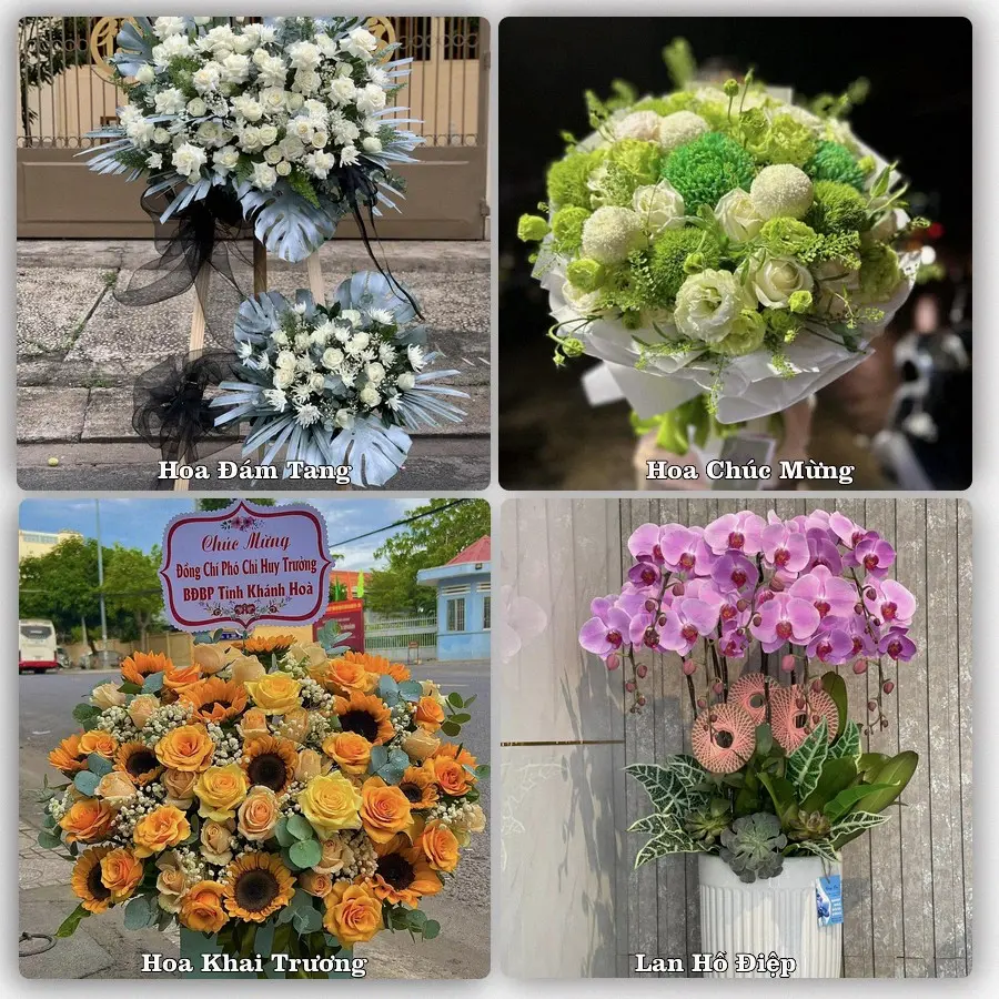 Tư vấn chọn hoa theo người nhận và dịp tặng tại Xã Nghĩa Giang - Tỉnh Quảng Ngãi