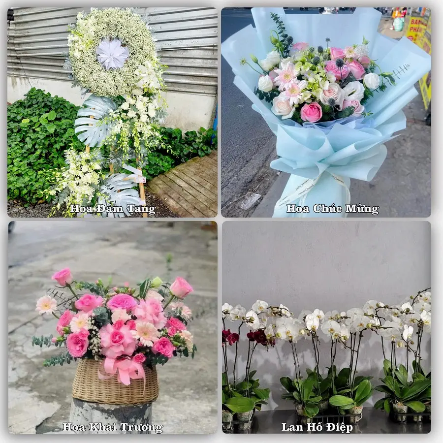 Tư vấn chọn hoa theo người nhận và dịp tặng tại Xã Phát Diệm - Tỉnh Ninh Bình