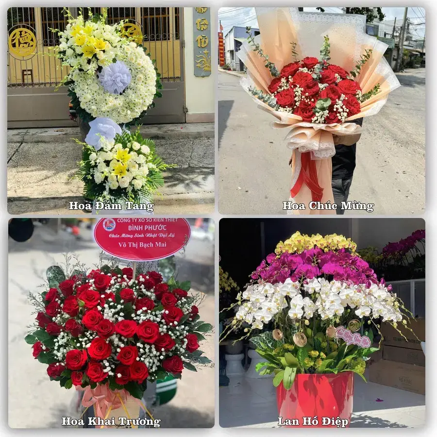 Dịch vụ đặt hoa và giao tận nơi tại Xã Phước Mỹ Trung - Tỉnh Vĩnh Long