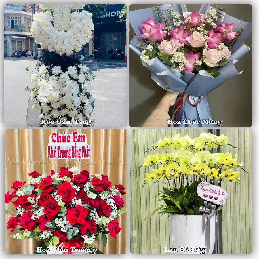Mẫu hoa phục vụ nhu cầu đặt hoa tại Xã Phước Mỹ Trung - Tỉnh Vĩnh Long