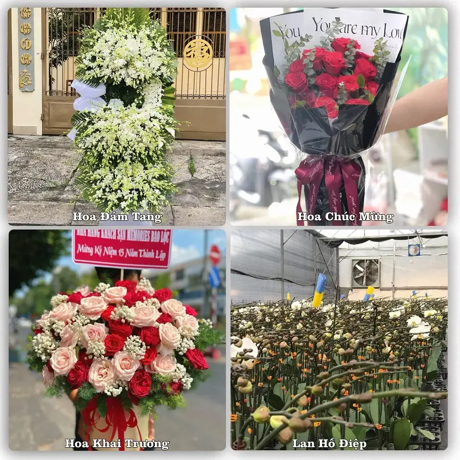 Tư vấn chọn hoa theo người nhận và dịp tặng tại Xã Phước Mỹ Trung - Tỉnh Vĩnh Long