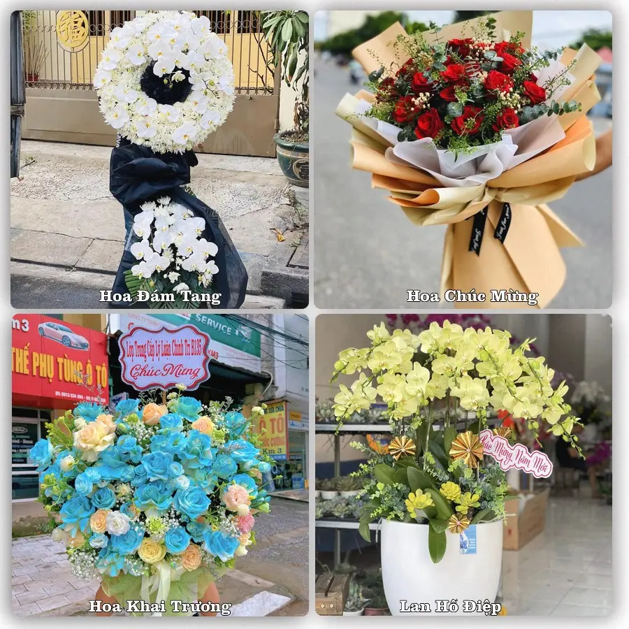 Tư vấn chọn hoa theo người nhận và dịp tặng tại Xã Tân Hòa - Thành phố Cần Thơ
