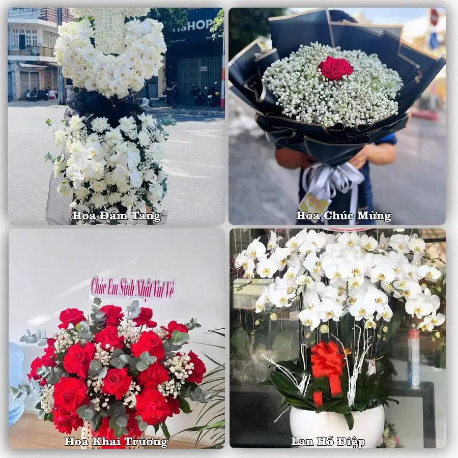 Tư vấn chọn hoa theo người nhận và dịp tặng tại Xã Thái Thụy - Tỉnh Hưng Yên