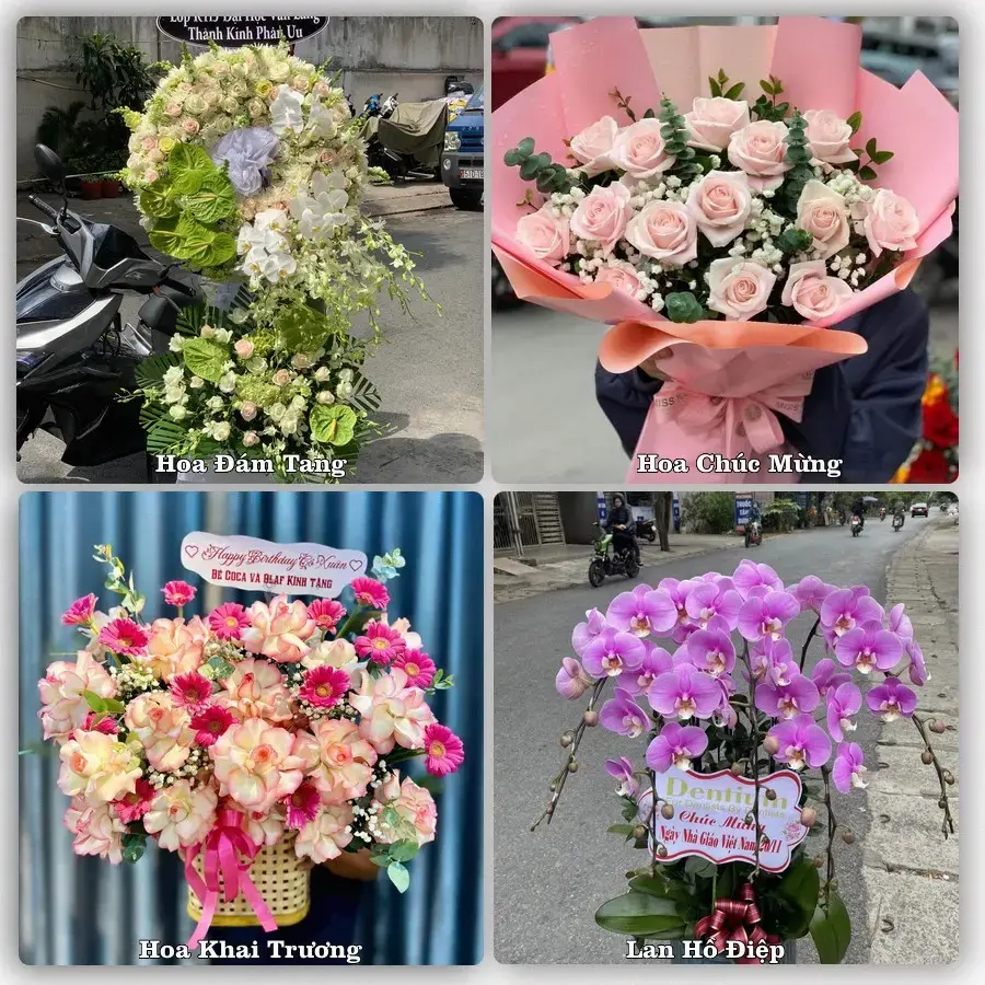 Điện hoa Phường Trảng Bàng, Tây Ninh – đặt online, xem hình trước khi giao