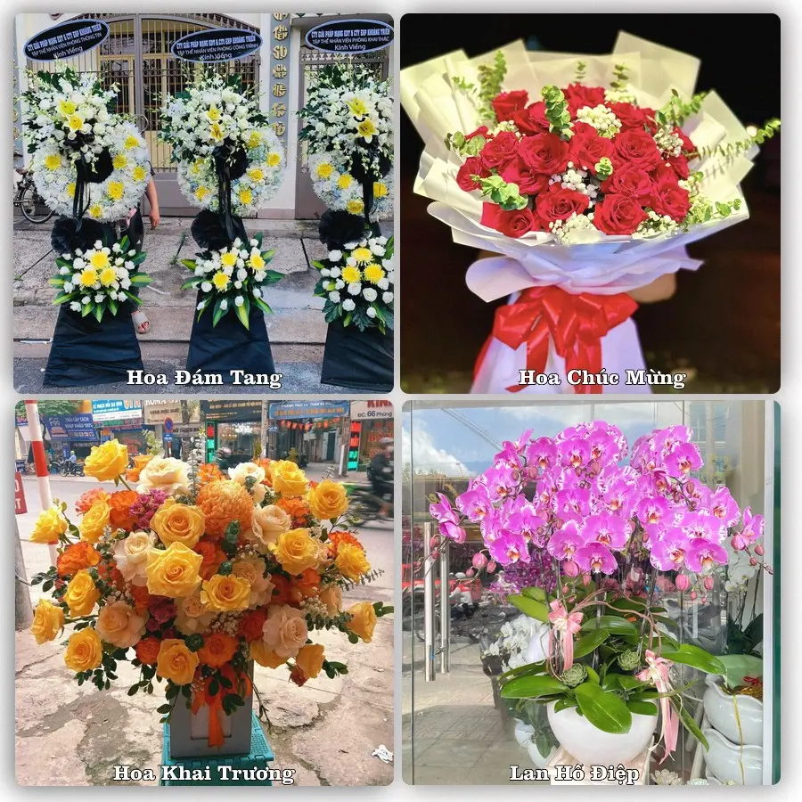 Tư vấn chọn hoa theo người nhận và dịp tặng tại Phường Trảng Bàng - Tỉnh Tây Ninh