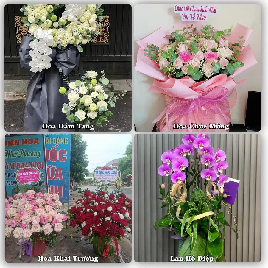 Tư vấn chọn hoa theo người nhận và dịp tặng tại Xã Chuyên Mỹ - Thành phố Hà Nội