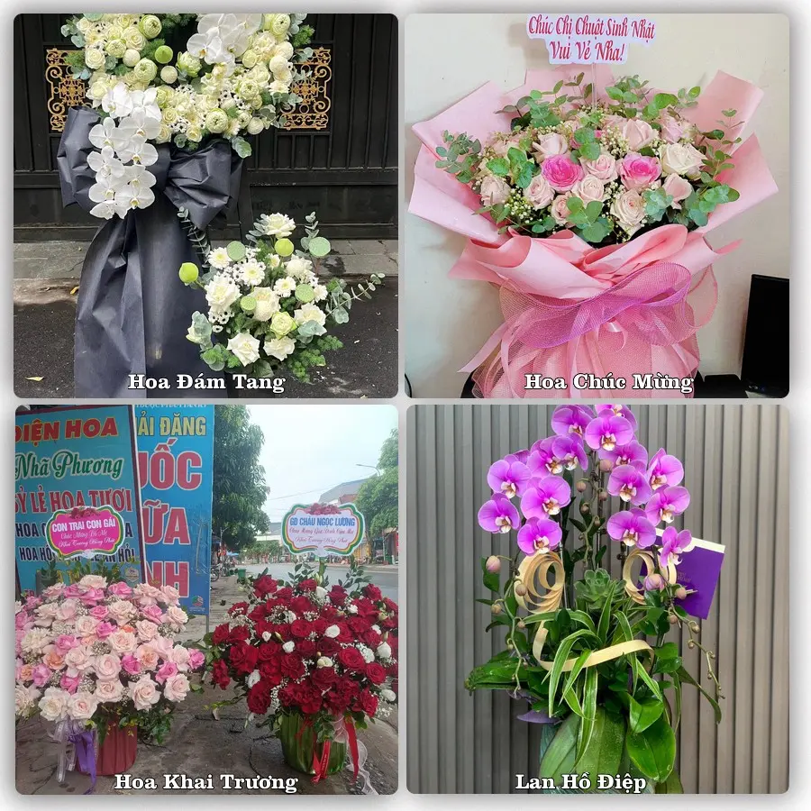 Tư vấn chọn hoa theo người nhận và dịp tặng tại Xã Chuyên Mỹ - Thành phố Hà Nội
