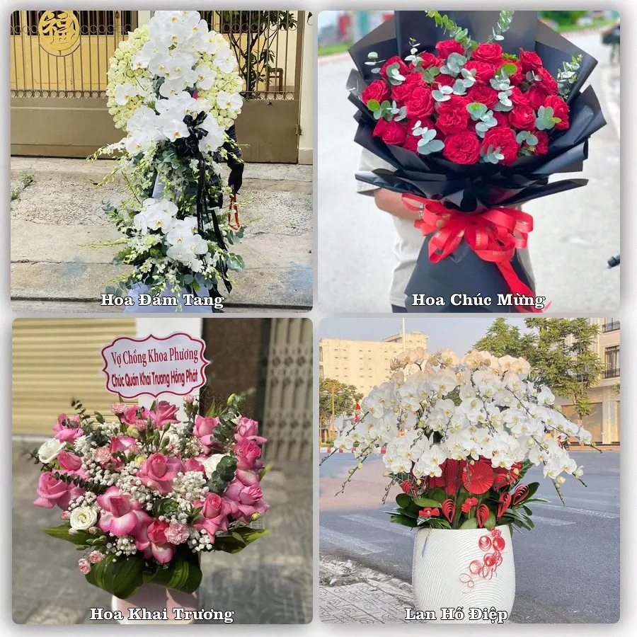 Tư vấn chọn hoa theo người nhận và dịp tặng tại Xã Đại Xuyên - Thành phố Hà Nội