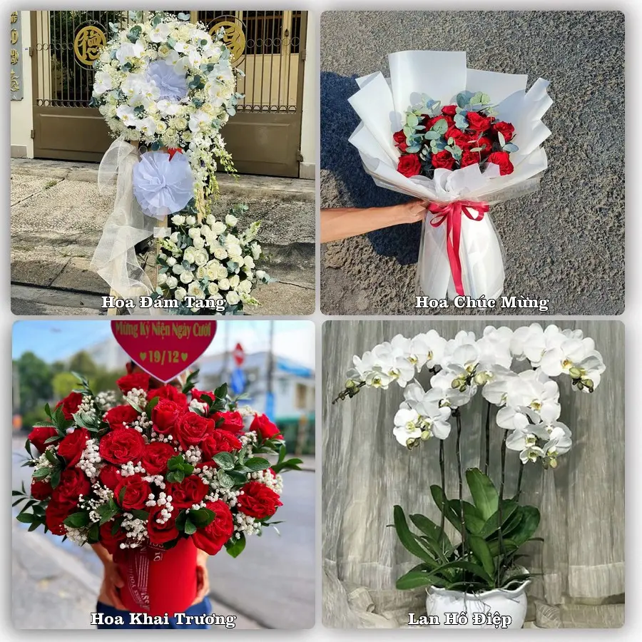 Dịch vụ đặt hoa và giao tận nơi tại Xã Hạ Bằng - Thành phố Hà Nội