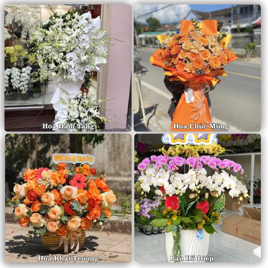 Tư vấn chọn hoa theo người nhận và dịp tặng tại Xã Hạ Bằng - Thành phố Hà Nội