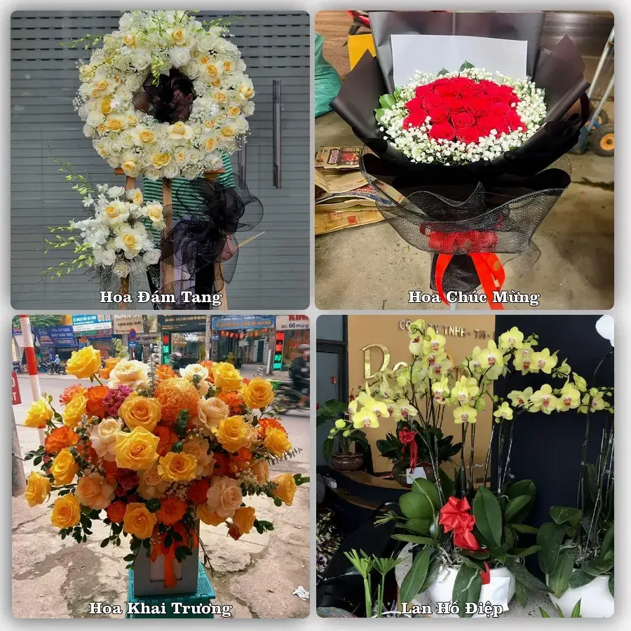 Hoa tươi Xã Hòa Long, Đồng Tháp – mẫu hoa theo dịp, giá tham khảo