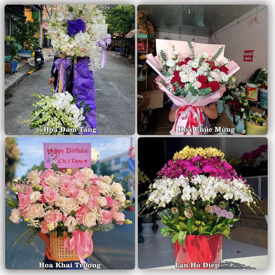 Tư vấn chọn hoa theo người nhận và dịp tặng tại Xã Hòa Long - Tỉnh Đồng Tháp