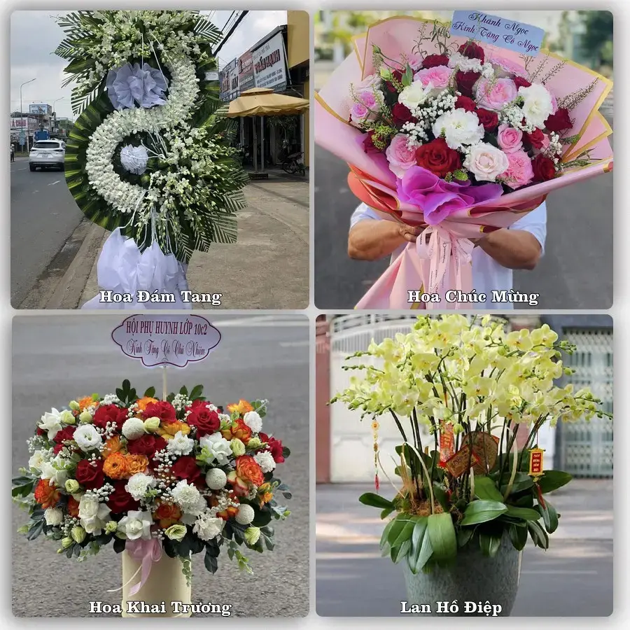 Hoa tươi Xã Kiến Hải, Hải Phòng – mẫu hoa theo dịp, giá tham khảo