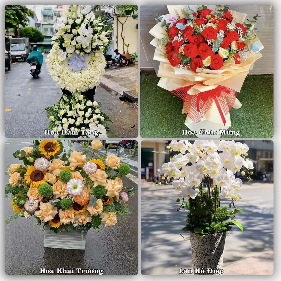 Tư vấn chọn hoa theo người nhận và dịp tặng tại Xã Kiến Hải - Thành phố Hải Phòng