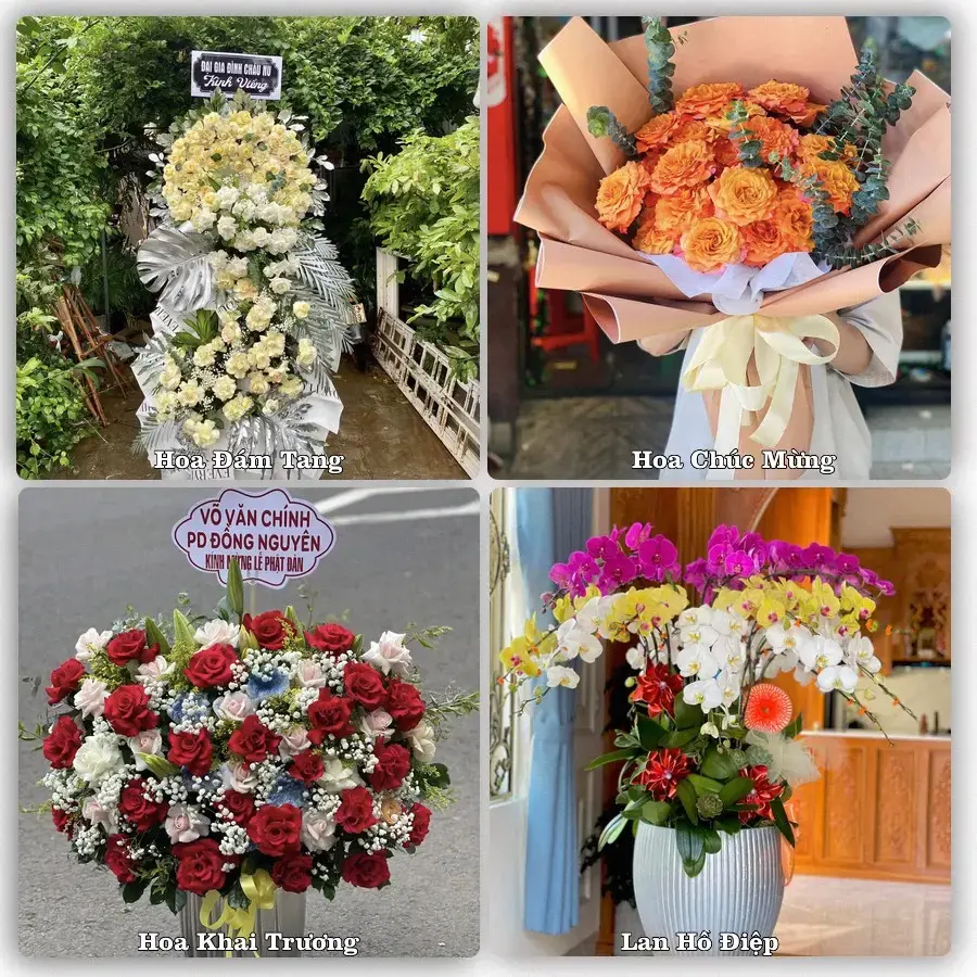 Hoa tươi Xã Liên Hương, Lâm Đồng – mẫu hoa theo dịp, giá tham khảo