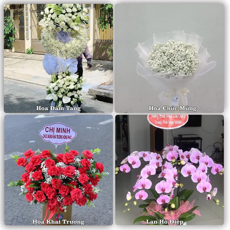 Tư vấn chọn hoa theo người nhận và dịp tặng tại Xã Liên Hương - Tỉnh Lâm Đồng