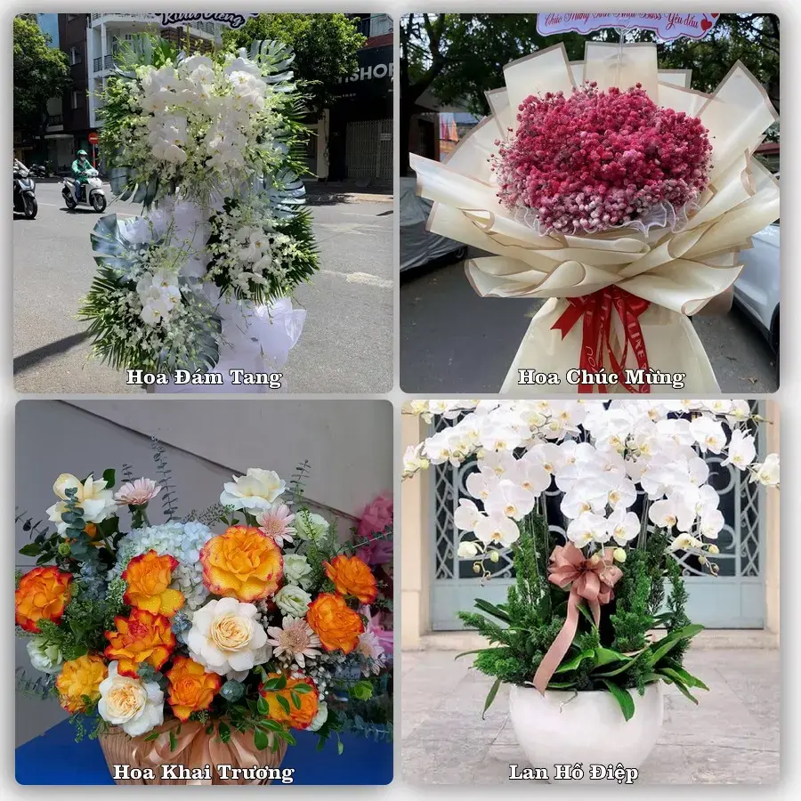 Hoa tươi Xã Long Điền, An Giang – mẫu hoa theo dịp, giá tham khảo