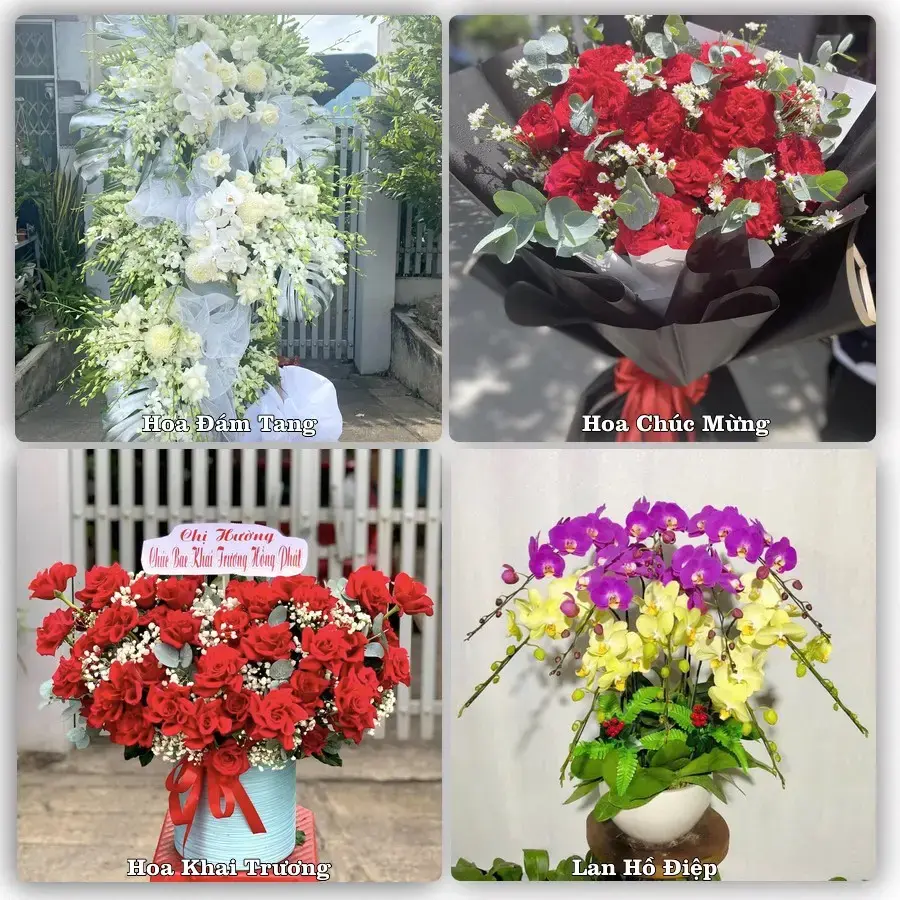 Tư vấn chọn hoa theo người nhận và dịp tặng tại Xã Long Điền - Tỉnh An Giang