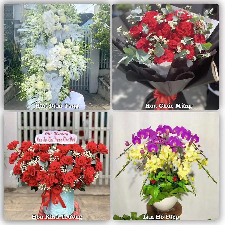 Tư vấn chọn hoa theo người nhận và dịp tặng tại Xã Long Điền - Tỉnh An Giang