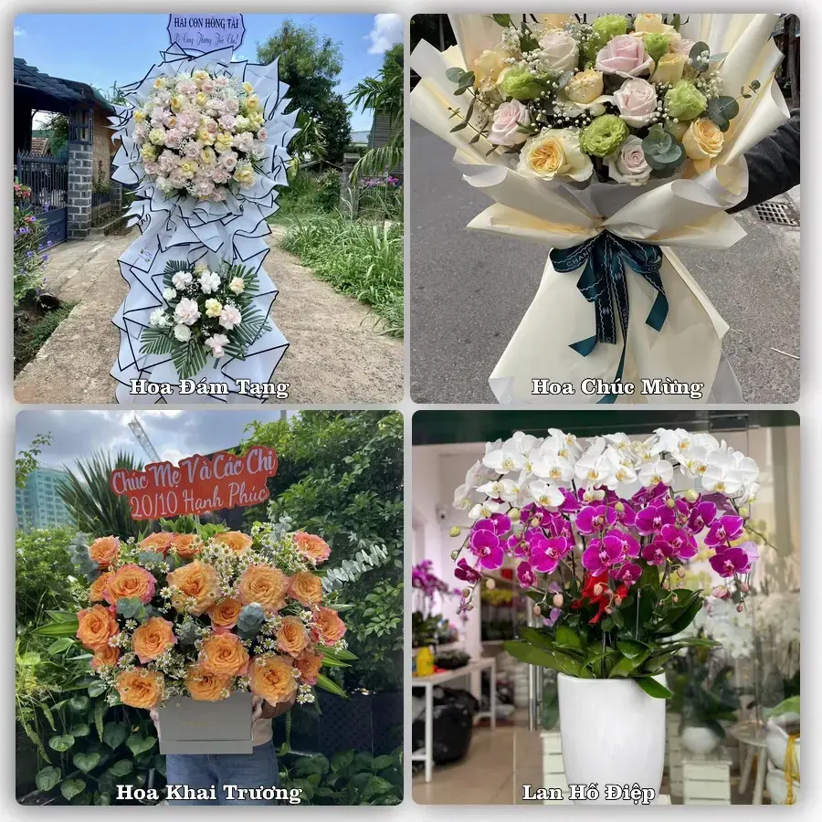 Hoa tươi Xã Lương Bằng, Hưng Yên – mẫu hoa theo dịp, giá tham khảo