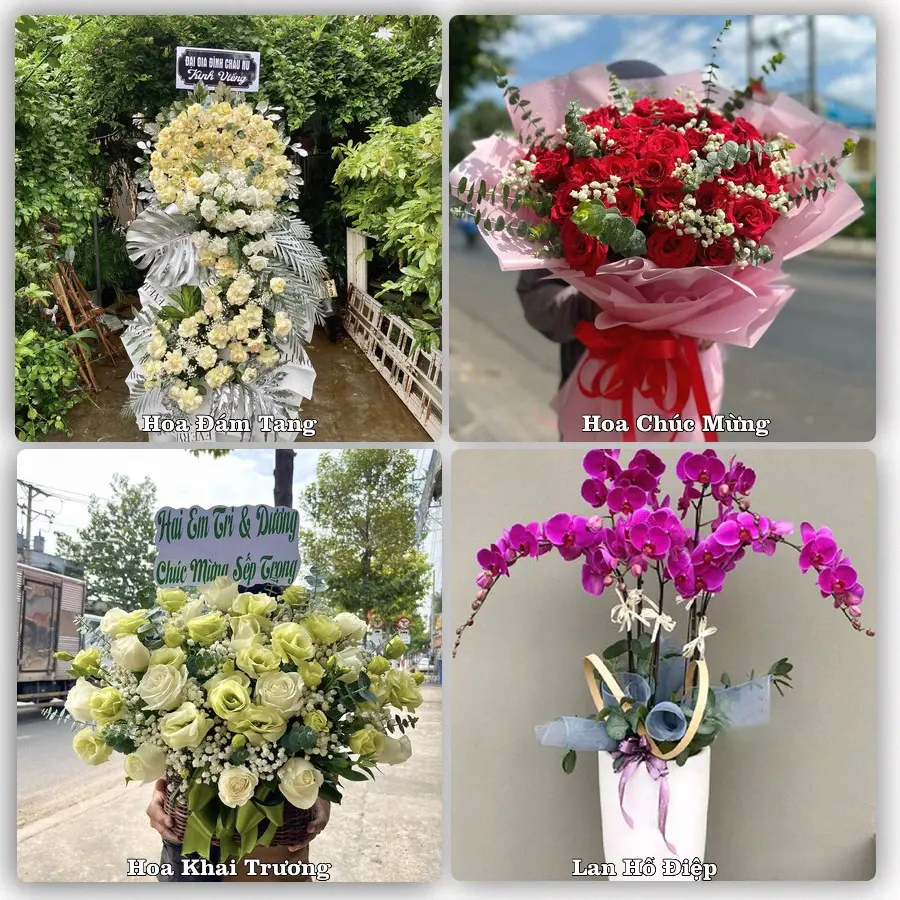 Tư vấn chọn hoa theo người nhận và dịp tặng tại Xã Lương Bằng - Tỉnh Hưng Yên