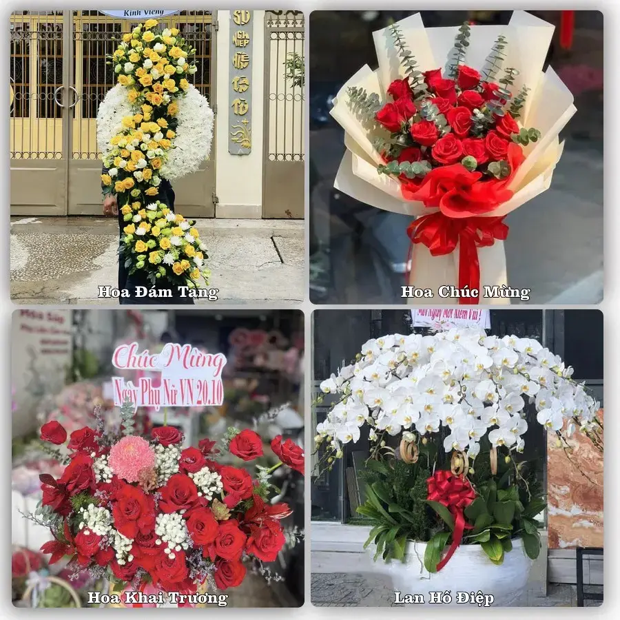 Hoa tươi Xã Song Phú, Vĩnh Long – mẫu hoa theo dịp, giá tham khảo