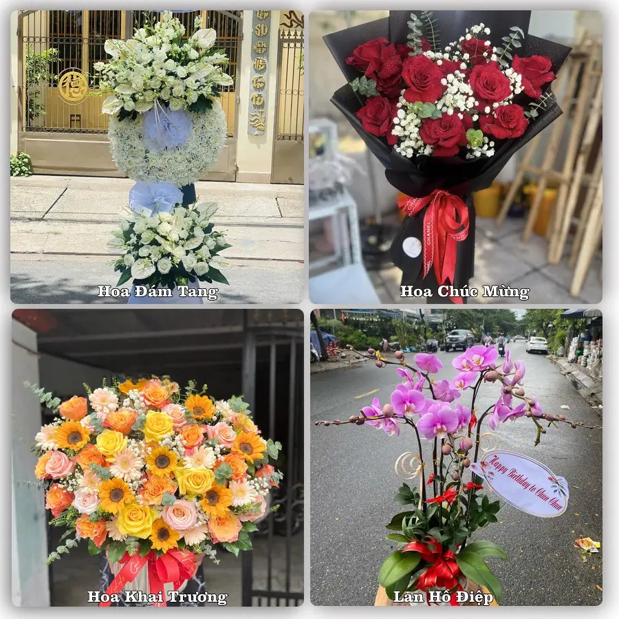 Tư vấn chọn hoa theo người nhận và dịp tặng tại Xã Song Phú - Tỉnh Vĩnh Long