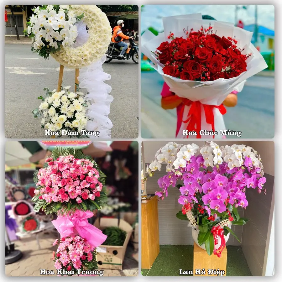 Tư vấn chọn hoa theo người nhận và dịp tặng tại Xã Tân An Hội - Thành phố Hồ Chí Minh