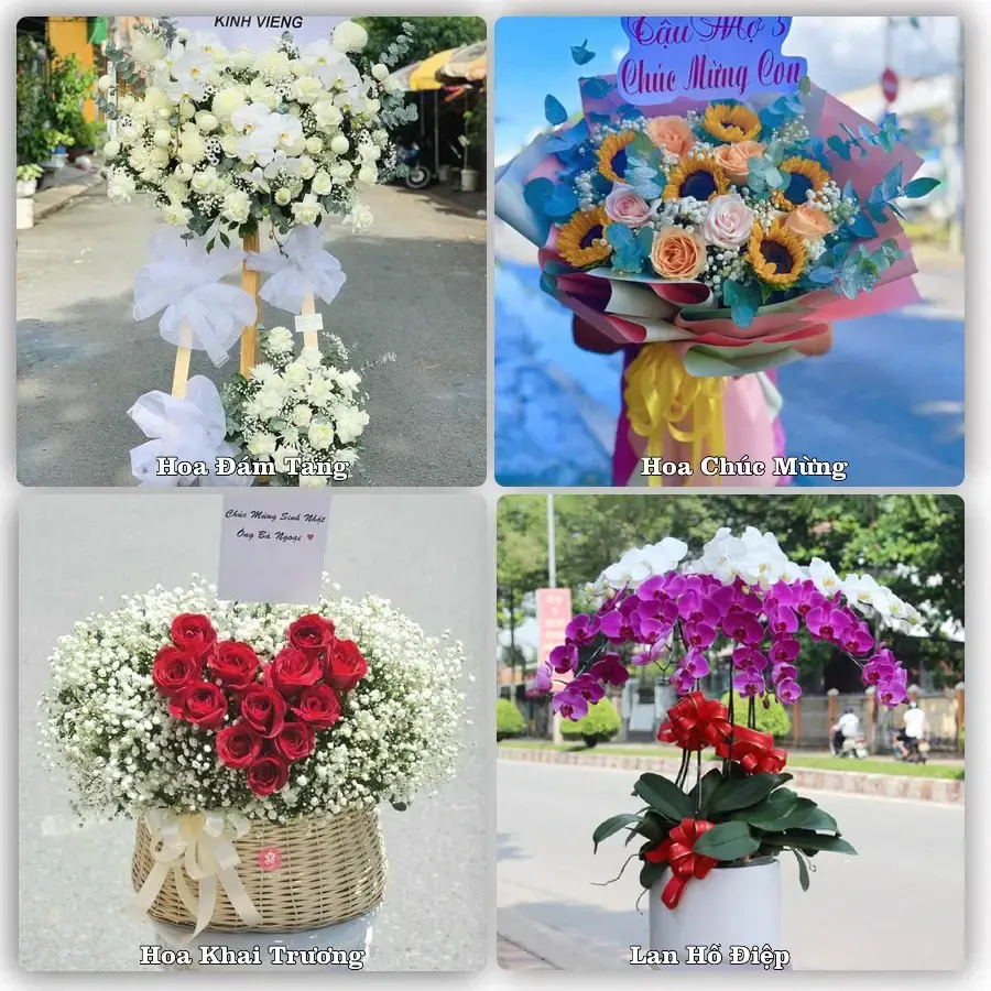 Hoa tươi Xã Tuy Phước Đông, Gia Lai – mẫu hoa theo dịp, giá tham khảo