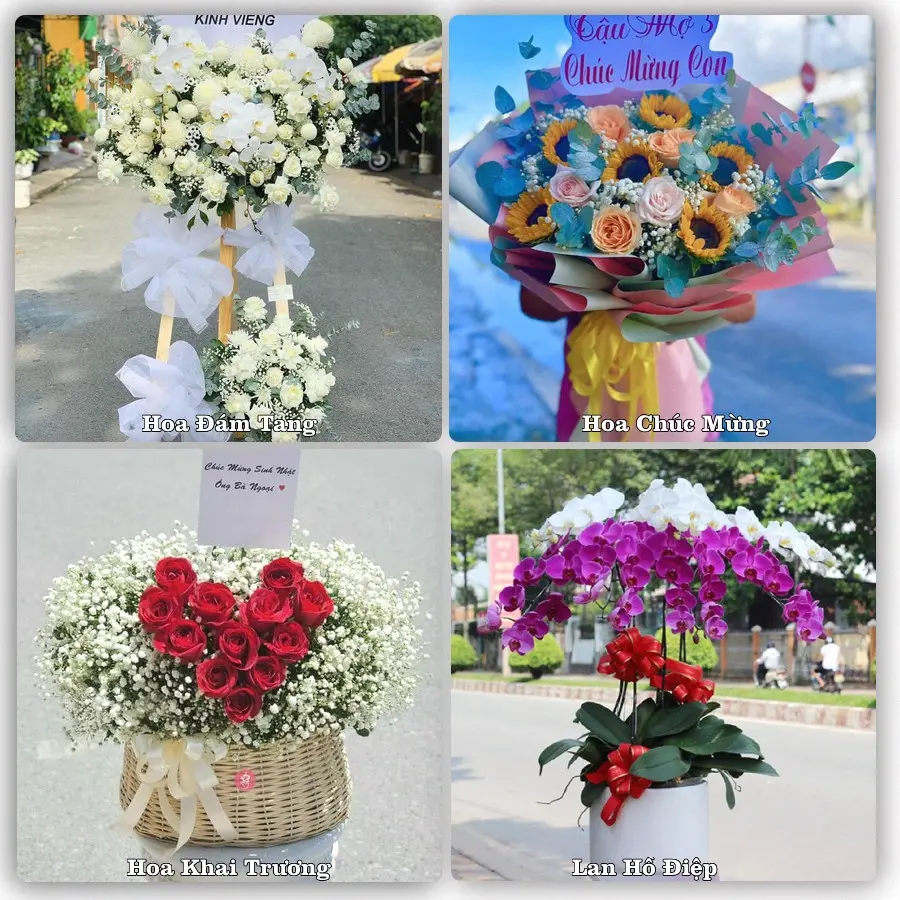 Mẫu hoa phục vụ nhu cầu đặt hoa tại Xã Tuy Phước Đông - Tỉnh Gia Lai