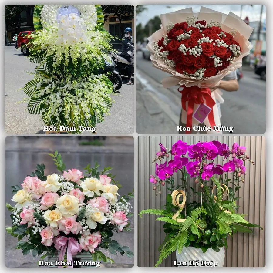 Tư vấn chọn hoa theo người nhận và dịp tặng tại Xã Tuy Phước Đông - Tỉnh Gia Lai