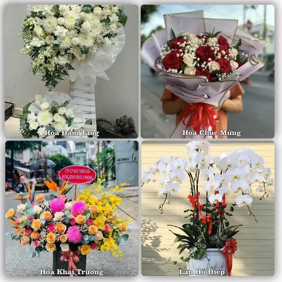 Dịch vụ đặt hoa và giao tận nơi tại Xã Vĩnh Hòa - Thành phố Hải Phòng