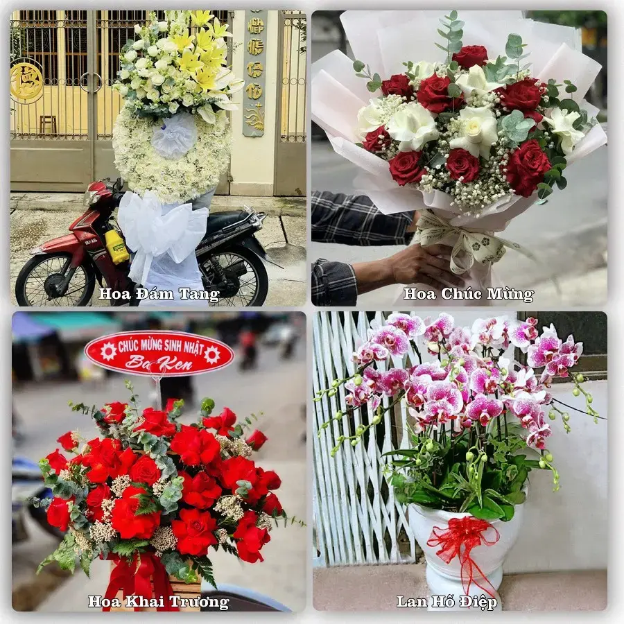 Mẫu hoa phục vụ nhu cầu đặt hoa tại Xã Vĩnh Hòa - Thành phố Hải Phòng