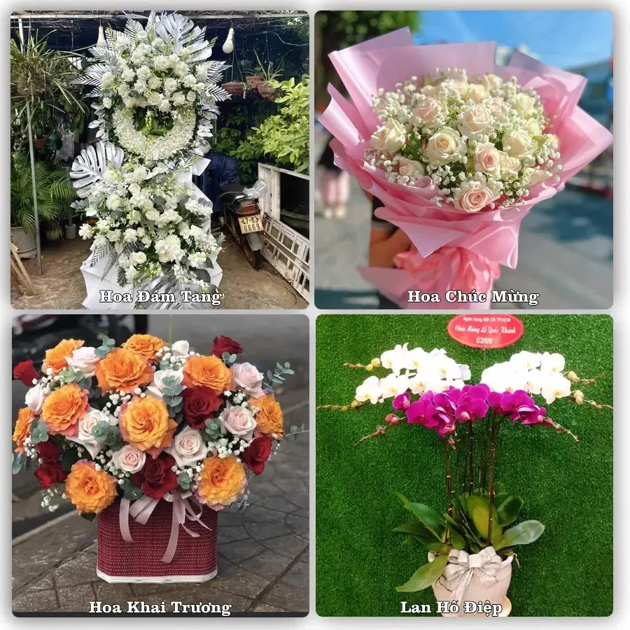 Tư vấn chọn hoa theo người nhận và dịp tặng tại Xã Vĩnh Hòa - Thành phố Hải Phòng