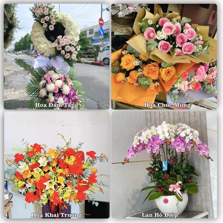 Tư vấn chọn hoa theo người nhận và dịp tặng tại Phường Duy Tiên - Tỉnh Ninh Bình